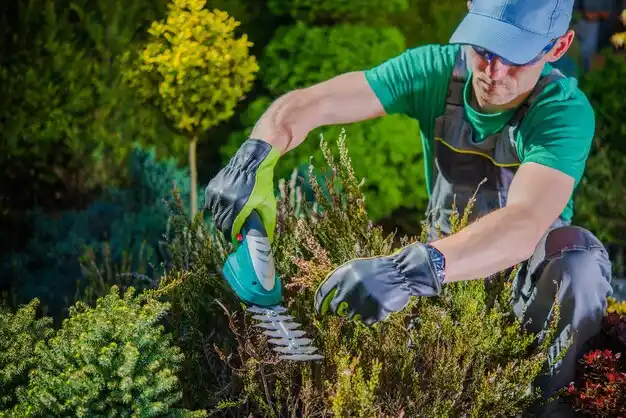 landscaping services Newburgh Heights